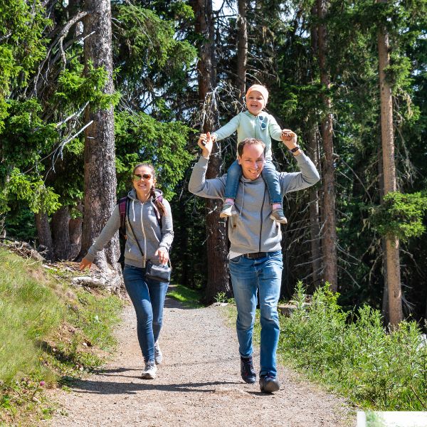 House Cleaning Services Nashville TN Deep Cleaning & Maid Services