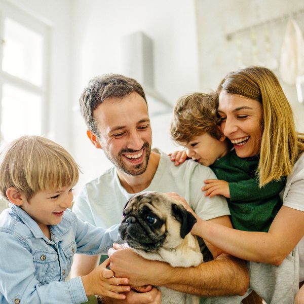 xr:d:DAF-puy3e_c:3,j:814446361496377792,t:24030514 House cleaning services in Hendersonville, TN